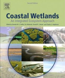 Coastal Wetlands: An Integrated Ecosystem Approach - eBook PDF