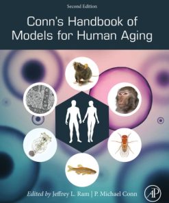 Conn's handbook of models for human aging 2nd Edition Ram - eBook PDF