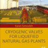 Cryogenic Valves for Liquefied Natural Gas Plants 1st edition - eBook PDF
