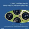 Current Developments in Biotechnology and Bioengineering: Smart Solutions for Wastewater: Road-mapping the Transition to Circular Economy - eBook PDF