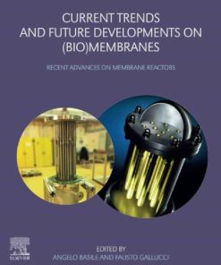 Current Trends and Future Developments on (Bio-) Membranes: Recent Advances on Membrane Reactors 1st edition - eBook PDF