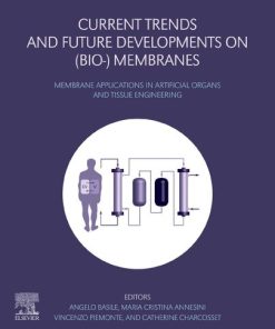 Current Trends and Future Developments on (Bio-) Membranes: Silica Membranes: Preparation, Modelling, Application, and Commercialization 1st Edition - eBook PDF