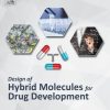 Design of Hybrid Molecules for Drug Development 1st edition - eBook PDF