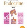 Diagnostic Pathology: Endocrine 2nd Edition Vania Nosé - eBook PDF