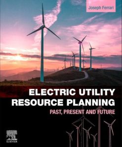 Electric Utility Resource Planning: Past, Present and Future 1st edition - eBook PDF