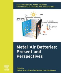 Electrochemical Power Sources: Fundamentals, Systems, and Applications: Metal-Air Batteries: Present and Perspectives 1st Edition- eBook PDF