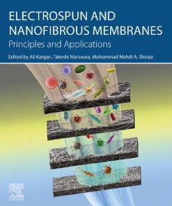 Electrospun and Nanofibrous Membranes: Principles and Applications 1st Edition - eBook PDF