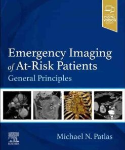 Emergency Imaging of At-Risk Patients: General Principles 1st Edition Michael N. Patlas - eBook PDF