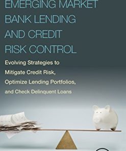 Emerging market bank lending and credit risk control : evolving strategies to mitigate credit risk, optimize lending portfolios, and check delinquent loans 1st Edition Onyiriuba - eBook PDF