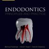 Endodontics: Principles and Practice 6th Edition - eBook PDF