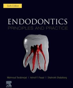 Endodontics: Principles and Practice 6th Edition - eBook PDF