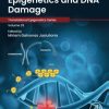 Epigenetics and DNA Damage 1st Edition - eBook PDF