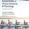 Essentials of Human Anatomy & Physiology [Global Edition] Elaine N. Marieb - eBook PDF