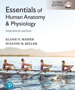 Essentials of Human Anatomy & Physiology [Global Edition] Elaine N. Marieb - eBook PDF