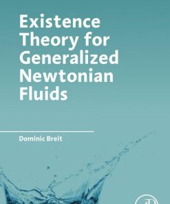 Existence Theory for Generalized Newtonian Fluids 1st Edition Breit - eBook PDF