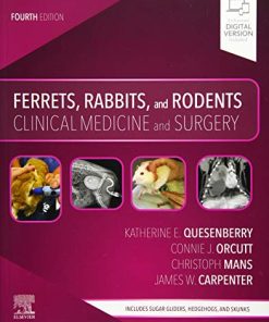 Ferrets, Rabbits, and Rodents 4th Edition Quesenberry Dvm Mph  Diplomate Abvp - eBook PDF