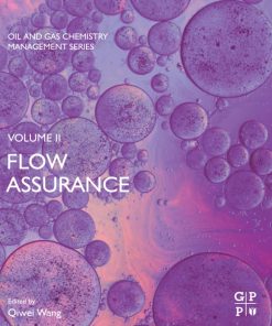Flow Assurance. Volume II 1st Edition - eBook PDF