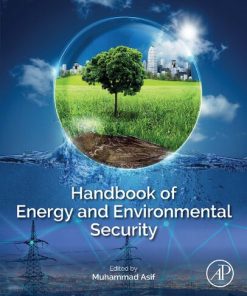 Handbook of Energy and Environmental Security 1st Edition- eBook PDF