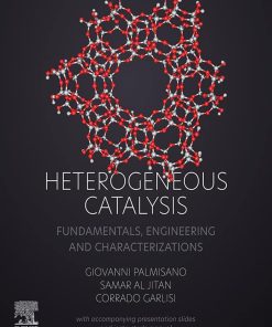 Heterogeneous Catalysis Fundamentals, Engineering and Characterizations Book • 2022 1st edition - eBook PDF