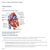 Huppert's Notes: Pathophysiology and Clinical Pearls for Internal Medicine - eBook PDF