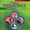 Imaging in Pediatrics 1st Edition A. Carlson Merrow - eBook PDF