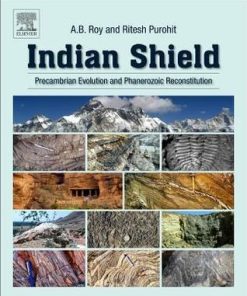 Indian Shield: Precambrian Evolution and Phanerozoic Reconstitution 1st edition - eBook PDF