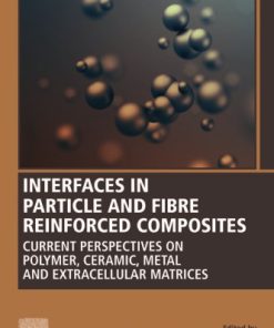 Interfaces in Particle and Fibre Reinforced Composites: From Macro to Nano Scales 1st Edition - eBook PDF