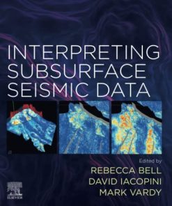 Interpreting Subsurface Seismic Data 1st edition - eBook PDF