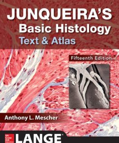 Junqueira’s Basic Histology Text and Atlas 15th Edition Anthony L. Mescher - eBook PDF