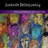 Juvenile Delinquency: Theory, Practice, and Law 13th Edition Larry J. Siegel - eBook PDF