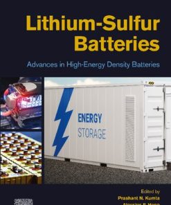 Lithium-Sulfur Batteries: Advances in High-Energy Density Batteries 1st Edition - eBook PDF