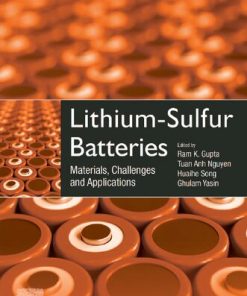 Lithium-Sulfur Batteries: Materials, Challengess and Applications 1st Edition - eBook PDF