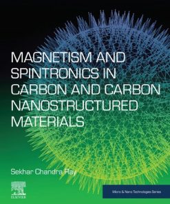Magnetism and Spintronics in Carbon and Carbon Nanostructured Materials - eBook PDF