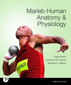Marieb Human Anatomy & Physiology (12th edition) Katja Hoehn - eBook PDF