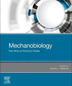 Mechanobiology: From Molecular Sensing to Disease 1st Edition Glen L. Niebur - eBook PDF