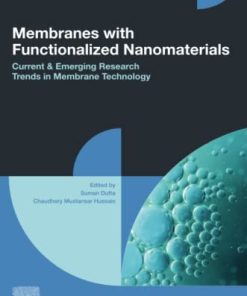 Membranes with Functionalized Nanomaterials : Current and Emerging Research Trends in Membrane Technology 1st Edition - eBook PDF