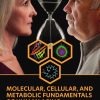 Molecular, Cellular, and Metabolic Fundamentals of Human Aging 1st Edition - eBook PDF