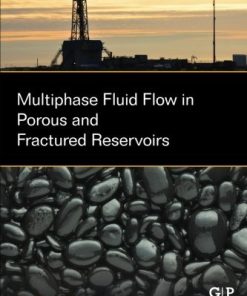 Multiphase Fluid Flow in Porous and Fractured Reservoirs 1st Edition Wu - eBook PDF