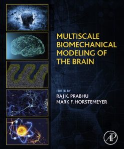 Multiscale Biomechanical Modeling of the Brain 1st edition - eBook PDF