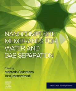 Nanocomposite Membranes for Water and Gas Separation 1st edition - eBook PDF