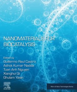 Nanomaterials for Biocatalysis 1st Edition - eBook PDF