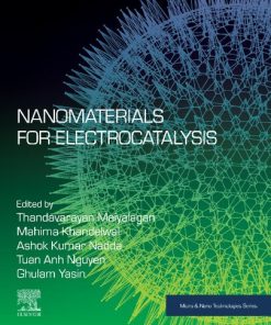 Nanomaterials for Electrocatalysis 1st Edition- eBook PDF
