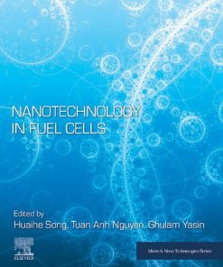 Nanotechnology in Fuel Cells 1st edition - eBook PDF