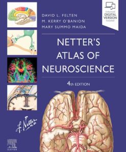 Netter's Atlas of Neuroscience 4th Edition David L. Felten - eBook PDF