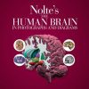 Nolte's The Human Brain in Photographs and Diagrams, 5e: With STUDENT CONSULT Online Access - eBook PDF