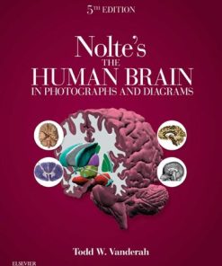 Nolte's The Human Brain in Photographs and Diagrams, 5e: With STUDENT CONSULT Online Access - eBook PDF