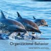 Organizational Behavior, 19th Global Edition Stephen P. Robbins - eBook PDF