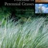 Phytoremediation Potential of Perennial Grasses 1st Edition Vimal Chandra Pandey - eBook PDF