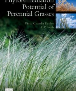 Phytoremediation Potential of Perennial Grasses 1st Edition Vimal Chandra Pandey - eBook PDF