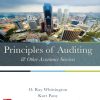 Principles of auditing & other assurance services 20. edition Edition Pany - eBook PDF